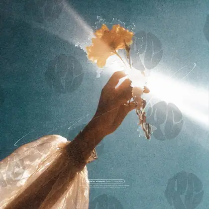 Обложка для трека «Flower in Hand»