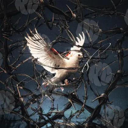 Обложка для трека «Bird Cage»