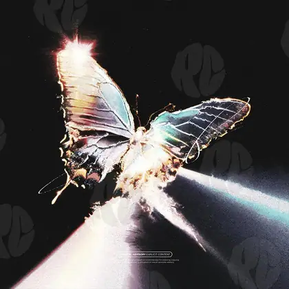 Обложка для трека «Luminous Wings»