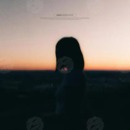 Обложка для трека «Sunset Silhouette»