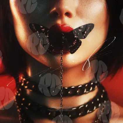 Обложка для трека «Silent Butterfly»