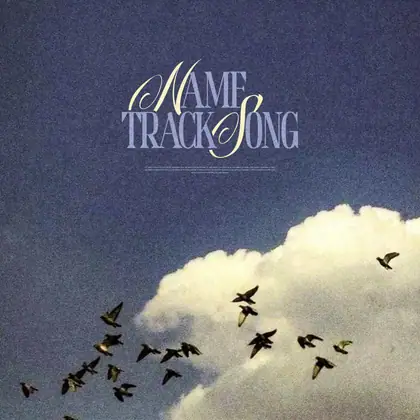 Обложка для трека «Birds Fly Away»