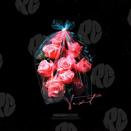 Обложка для трека «A package of roses»