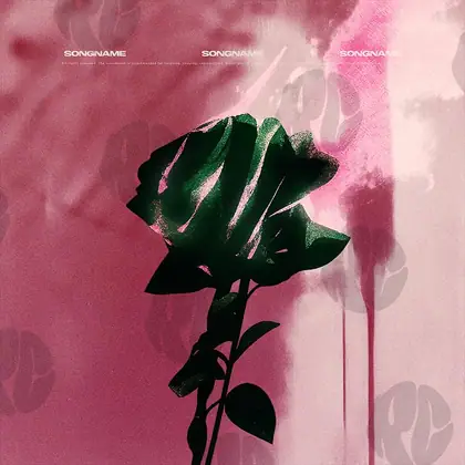 Обложка для трека «Shadow Bloom»