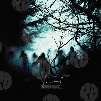 Обложка для трека «Shadows in the forest»