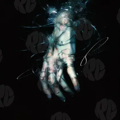 Обложка для трека «Luminous Hand»