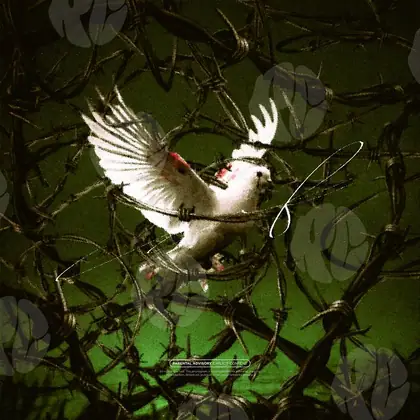 Обложка для трека «Caged Peace»