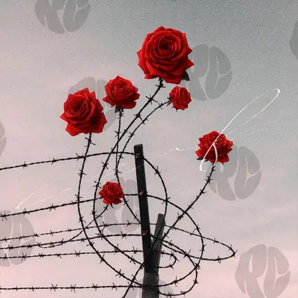 Обложка для трека «Barbed Roses»