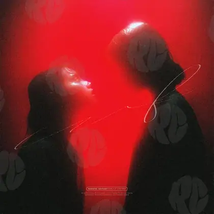 Обложка для трека «Verdant Silhouette»