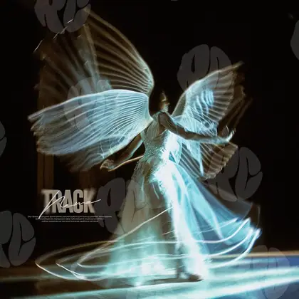 Обложка для трека «Girl with wings»
