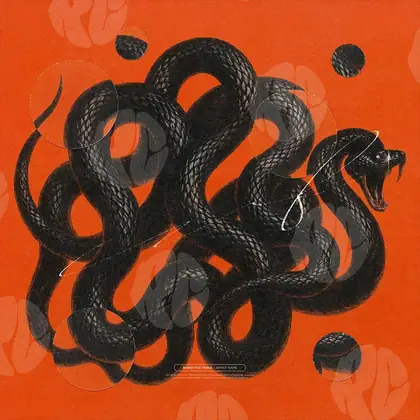 Обложка для трека «Serpent Knot»