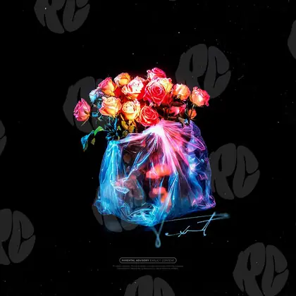 Обложка для трека «Flowers»