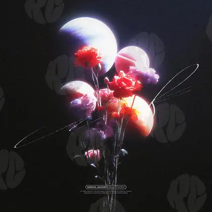 Обложка для трека «Planetary Bouquet»