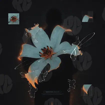 Обложка для трека «Burning Bloom»