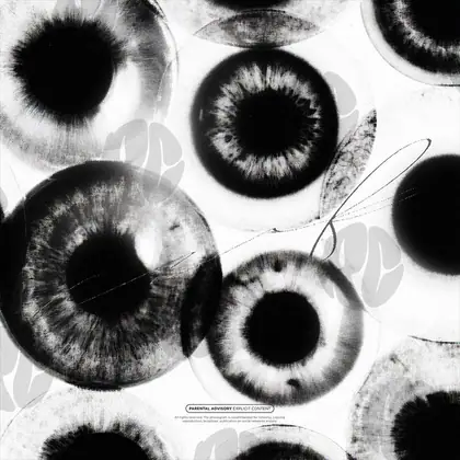 Обложка для трека «Ocular Swarm»