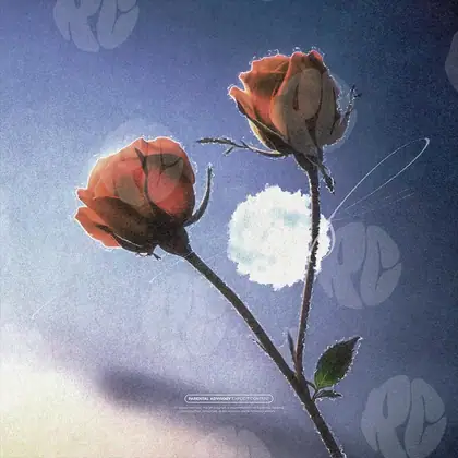 Обложка для трека «Sunlit Bloom»
