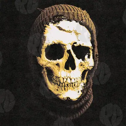 Обложка для трека «Skull Knit»