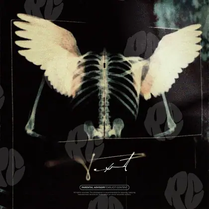 Обложка для трека «X-ray with wings»