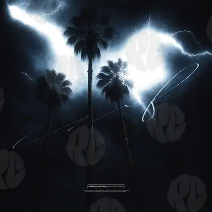 Обложка для трека «Stormy Palms»