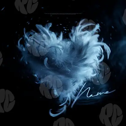 Обложка для трека «Feather Heart»