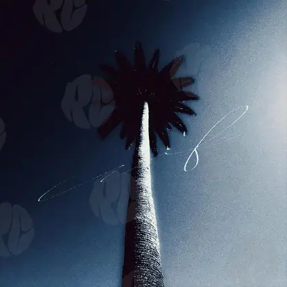 Обложка для трека «Midnight Palm»