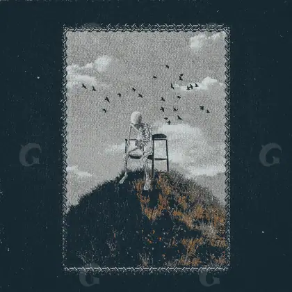Обложка для песни «Black Bird»: птица; палитра — чёрно-белая