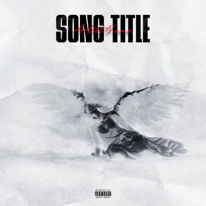 Music cover artwork “Black Bird”: bird, black and white tones