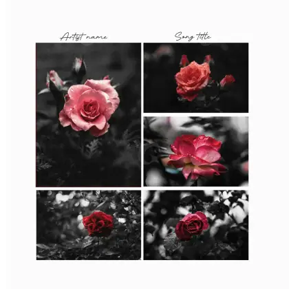 Обложка для песни «Black Rose»: роза; палитра — чёрно-белая