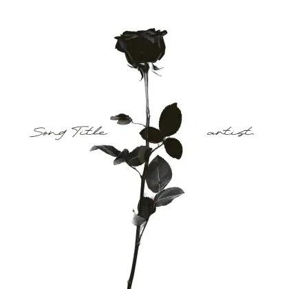 Обложка для песни «Black Rose»: роза; палитра — чёрно-белая