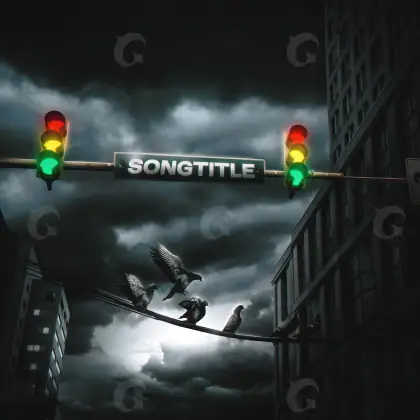 Portada prediseñada «Black Street»: calle y ave; color blanco y negro