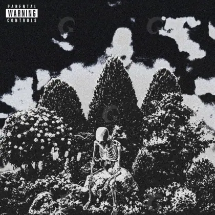 Portada para canción «Black Tree»: árbol; color blanco y negro