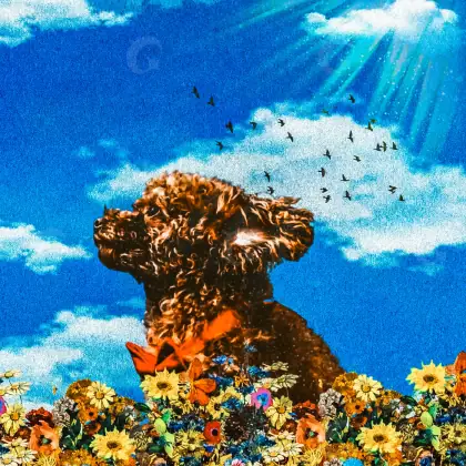 Обложка для альбома «Blue Flower»: цветок и облако; палитра — синяя