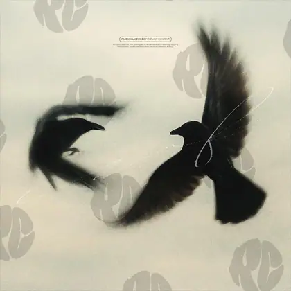 Обложка для трека «Flying Shadows»