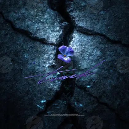 Обложка для трека «Chasm Bloom»