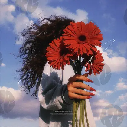 Обложка для трека «Sky Bouquet»