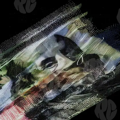 Обложка для трека «Fractured Franklin»