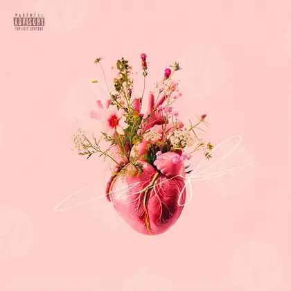 Обложка для трека «Flower Heart»