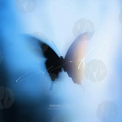 Обложка для трека «Butterfly»
