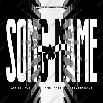 Premade album cover “Dark Fly” — a night scene with deep shadow in a monochrome palette