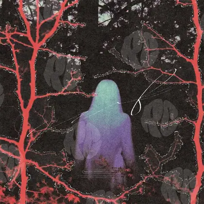 Обложка для трека «Forest Spirit»