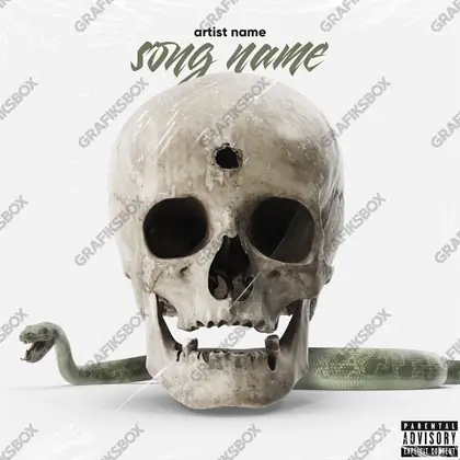 Premade album cover “Skull Snake” — harsh imagery in a low-key frame in a black and white palette