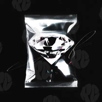 Обложка для трека «Bagged Brilliance»