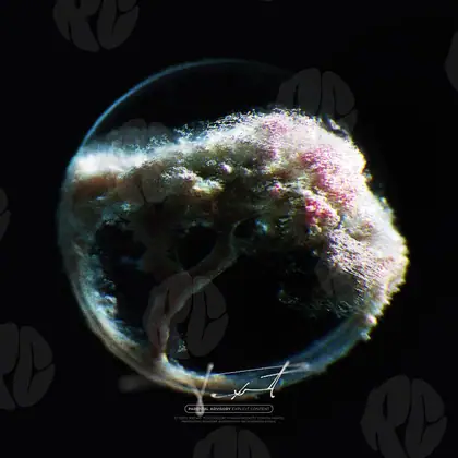 Обложка для трека «Blurred Reflection»