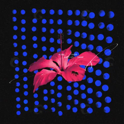Обложка для трека «Flowers and Dots»