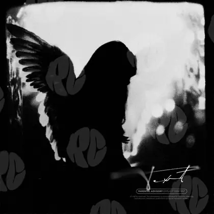 Обложка для трека «The girl with wings»