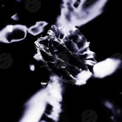 Обложка для трека «Wire Bloom»