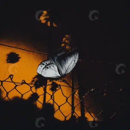 Arte de portada musical «Orange Chain»: cadena; color naranja