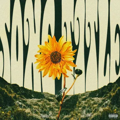 Music cover artwork “Orange Flower”: flower, orange tones