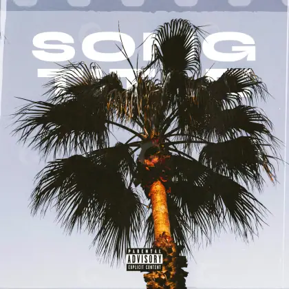 Premade cover art “Orange Palm”: palm and tree, orange tones