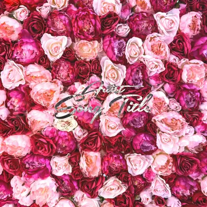 Music cover artwork “Red Rose”: rose, red tones